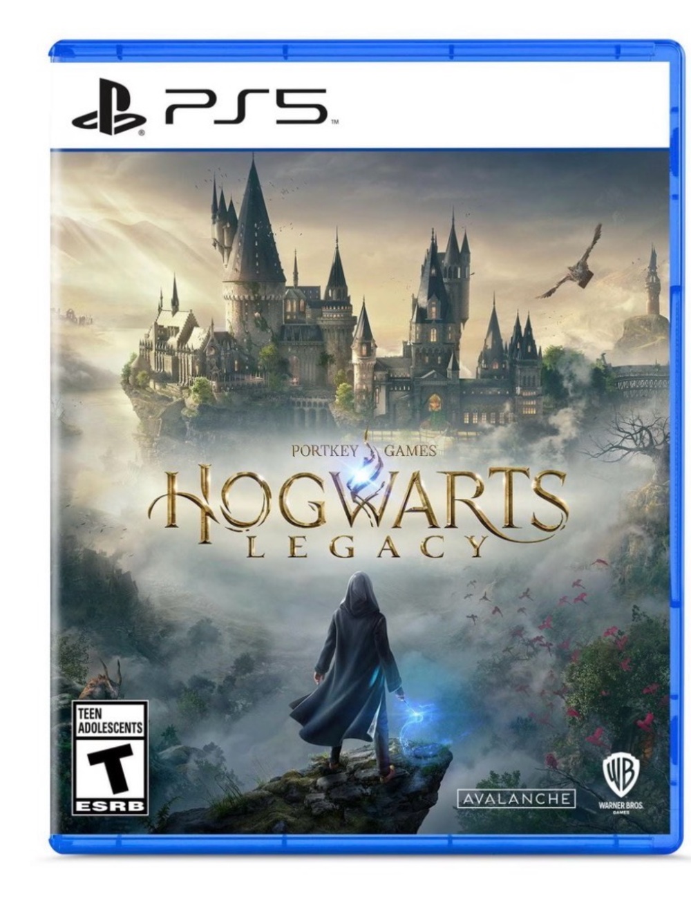 Hogwarts Legacy ps5